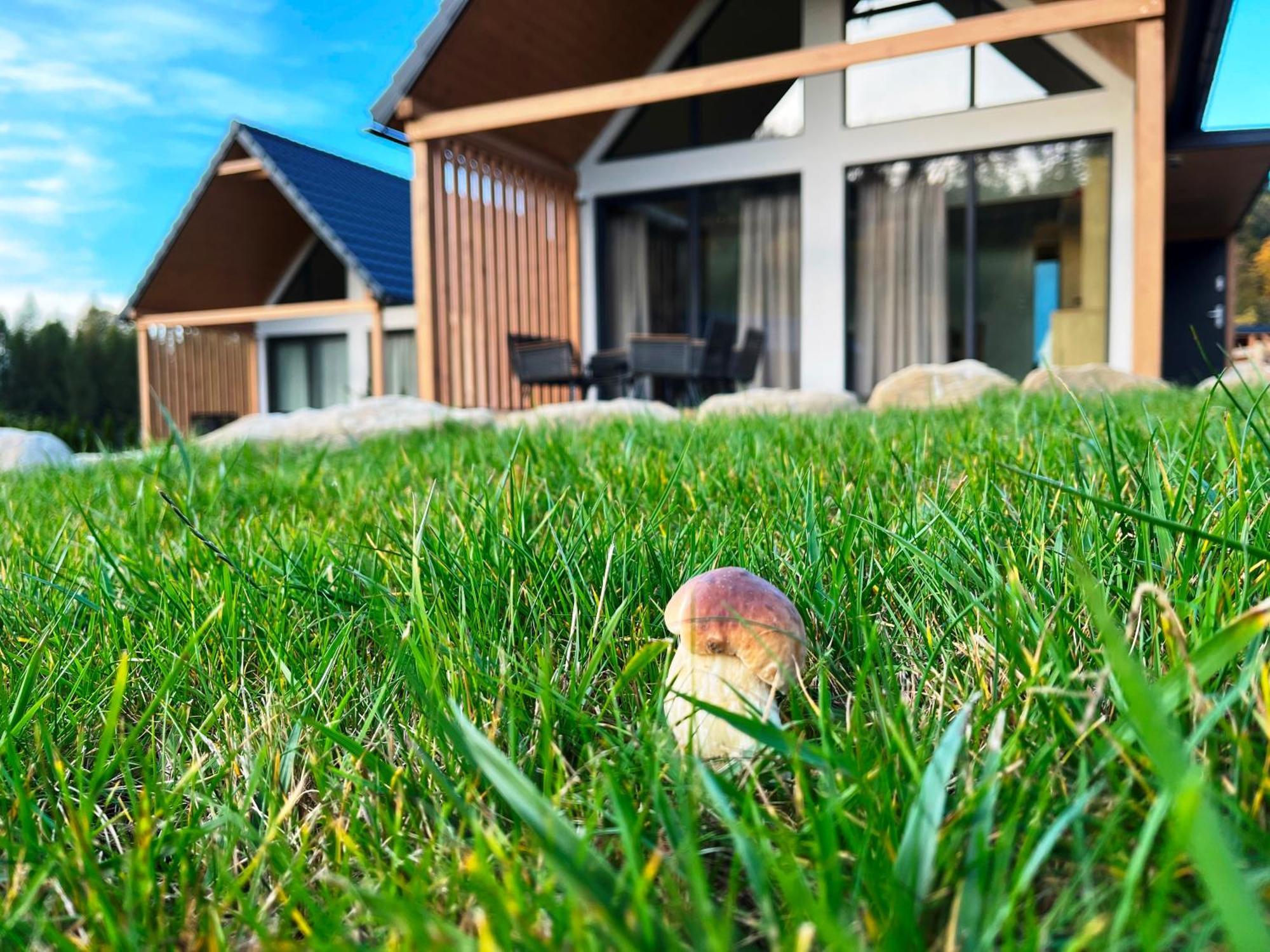 Galena I Gnejs Villa Stronie Slaskie Bagian luar foto